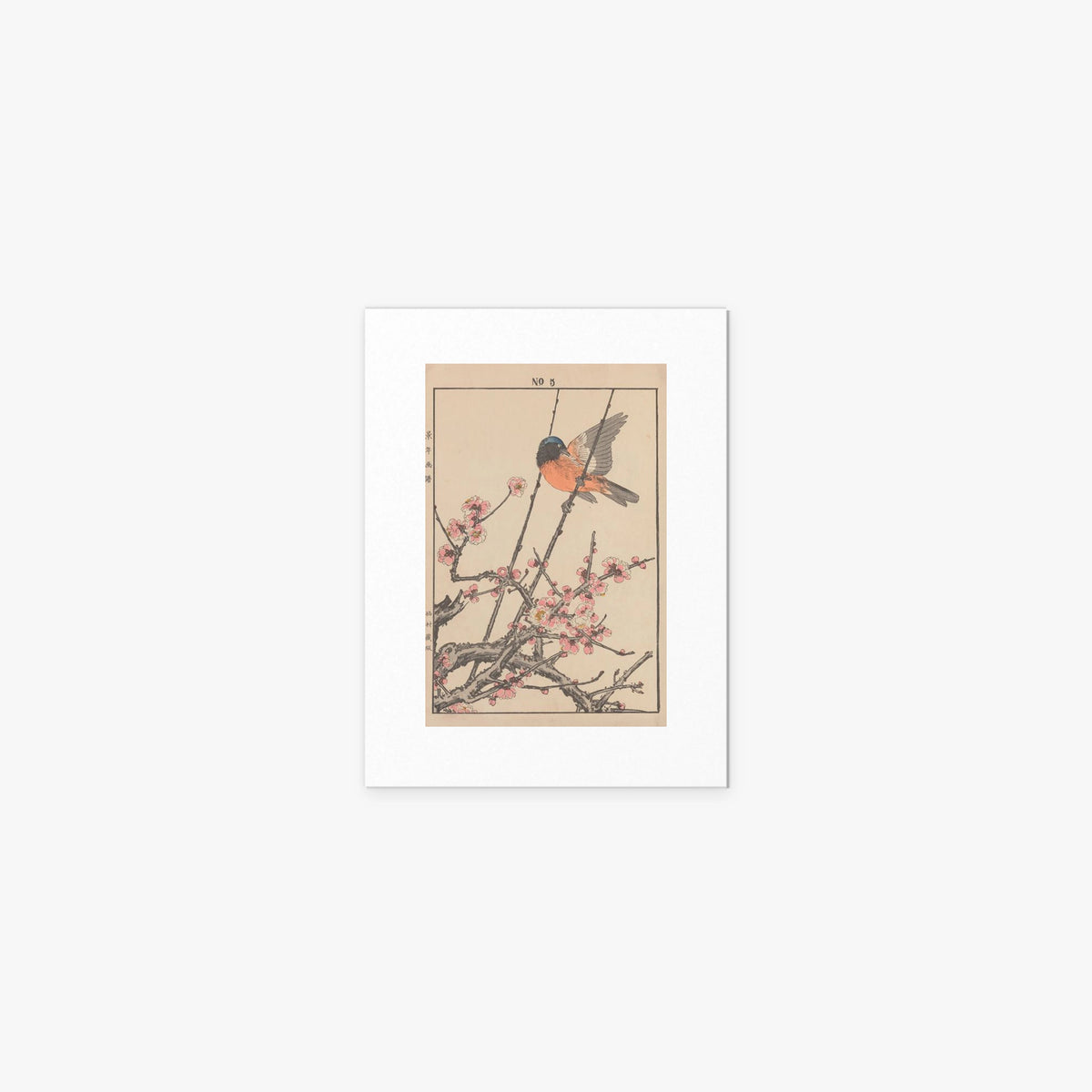 Fiori e Uccelli, Tav. 47 - Imao Keinen, opera di Imao Keinen (Ukiyo-e), stampa artistica su carta, 30x40cm
