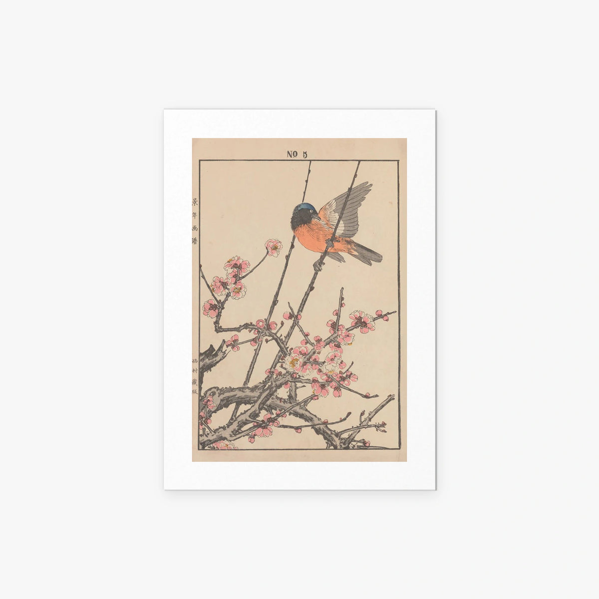 Fiori e Uccelli, Tav. 47 - Imao Keinen, opera di Imao Keinen (Ukiyo-e), stampa artistica su carta, 50x70cm