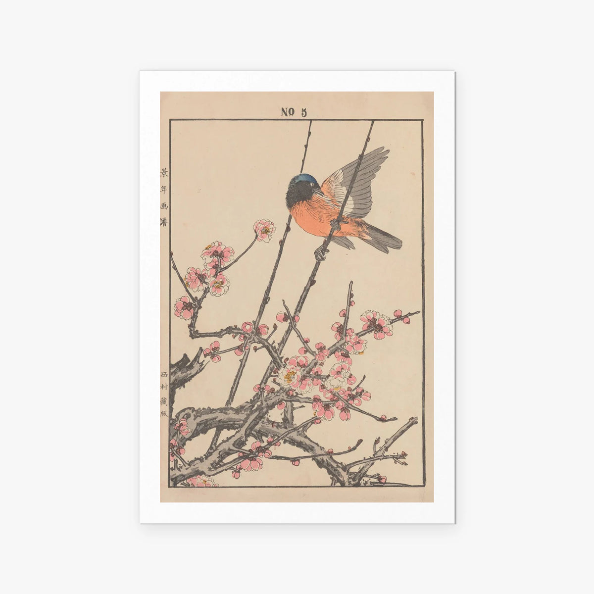 Fiori e Uccelli, Tav. 47 - Imao Keinen, opera di Imao Keinen (Ukiyo-e), stampa artistica su carta, 80x115cm