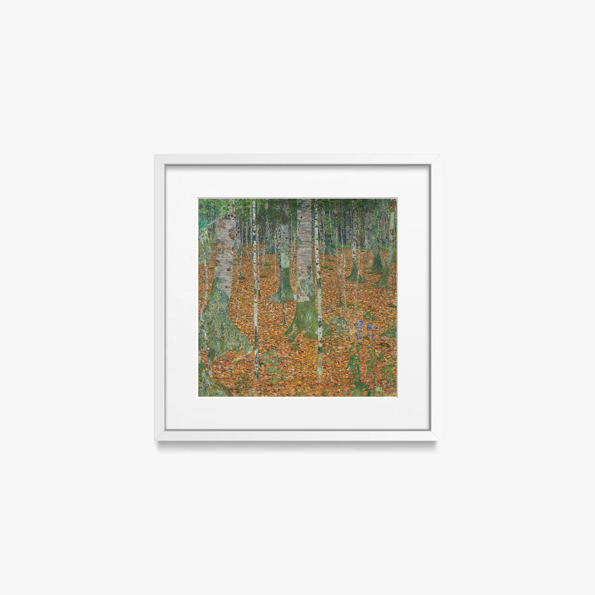 Bosco di Betulle - Gustav Klimt, opera di Gustav Klimt (Secessione Viennese), stampa con passepartout e cornice bianca, 40x40cm