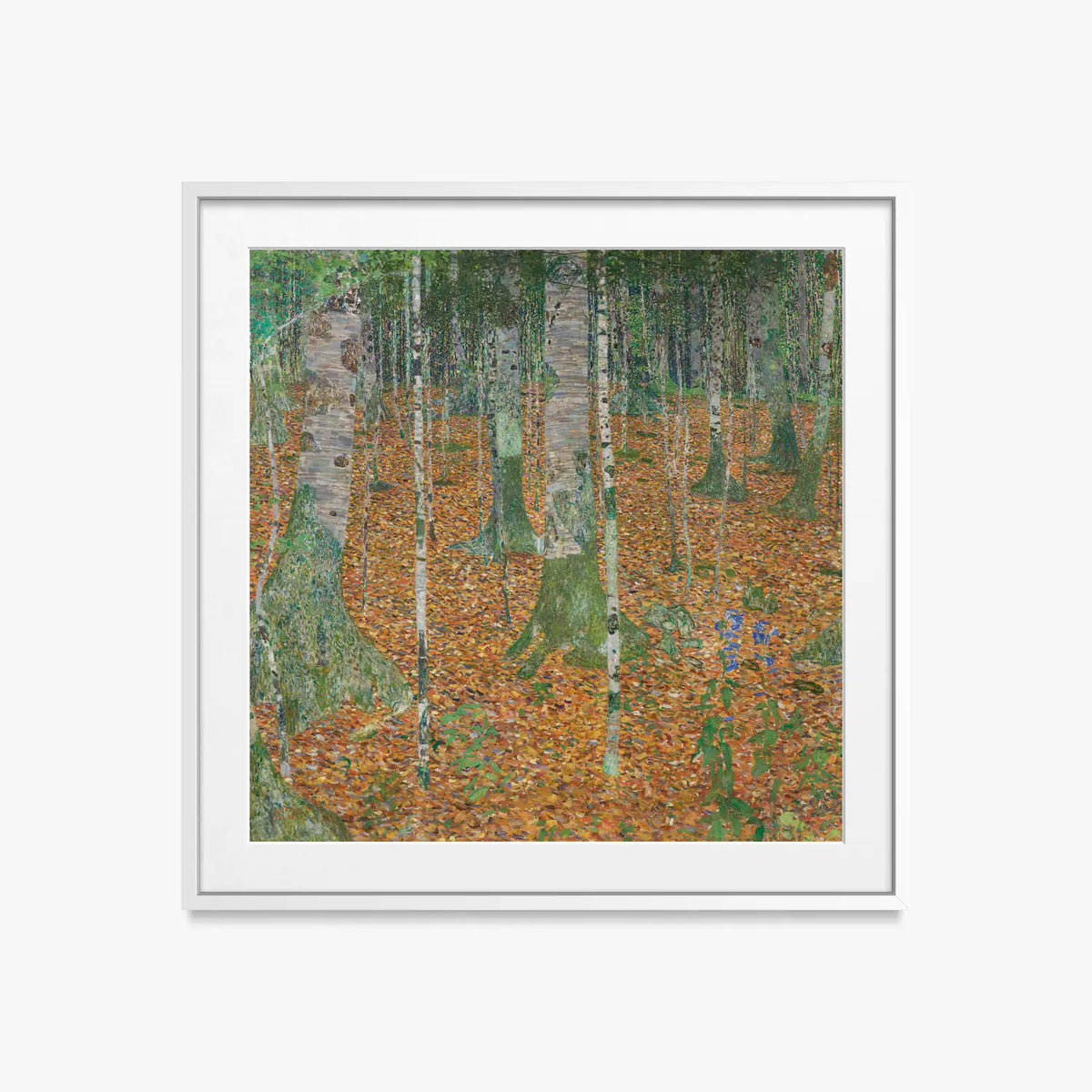 Bosco di Betulle - Gustav Klimt, opera di Gustav Klimt (Secessione Viennese), stampa con passepartout e cornice bianca, 50x50cm