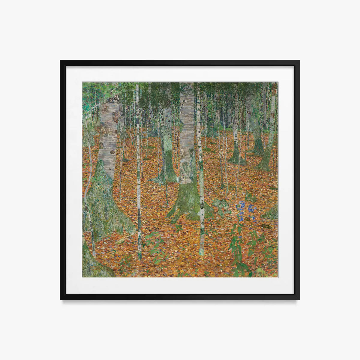 Bosco di Betulle - Gustav Klimt, opera di Gustav Klimt (Secessione Viennese), stampa con passepartout e cornice nera, 50x50cm