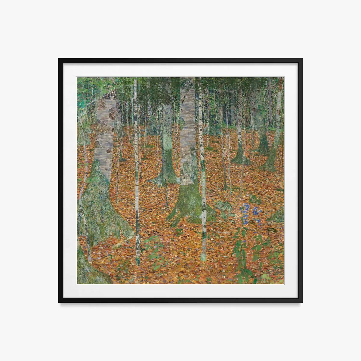 Bosco di Betulle - Gustav Klimt, opera di Gustav Klimt (Secessione Viennese), stampa con passepartout e cornice nera, 60x60cm
