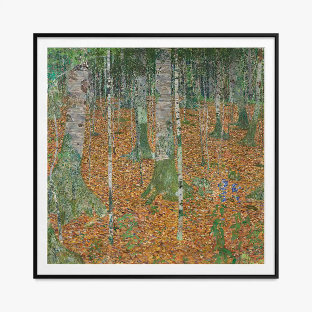 Bosco di Betulle - Gustav Klimt, opera di Gustav Klimt (Secessione Viennese), stampa con passepartout e cornice nera, 80x80cm