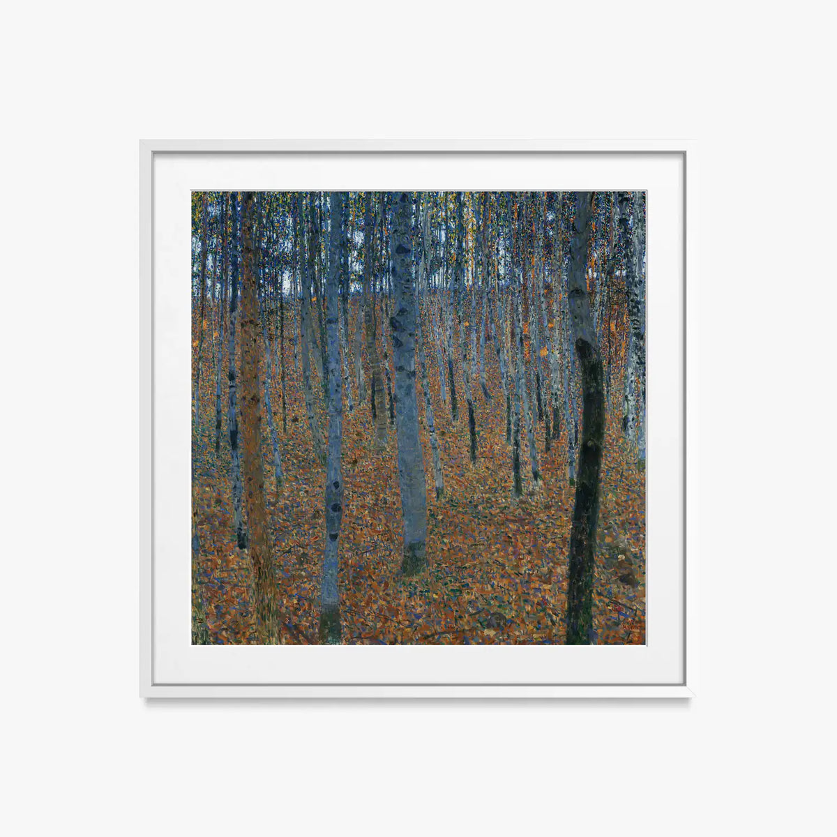Bosco di Faggi I - Gustav Klimt, opera di Gustav Klimt (Secessione Viennese), stampa con passepartout e cornice bianca, 50x50cm