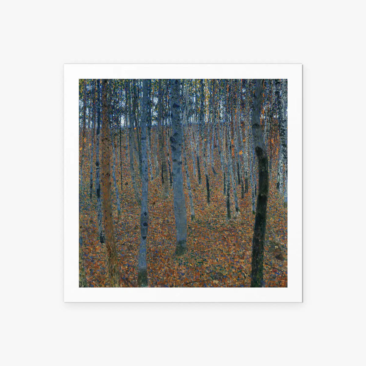 Bosco di Faggi I - Gustav Klimt, opera di Gustav Klimt (Secessione Viennese), stampa artistica su carta, 60x60cm