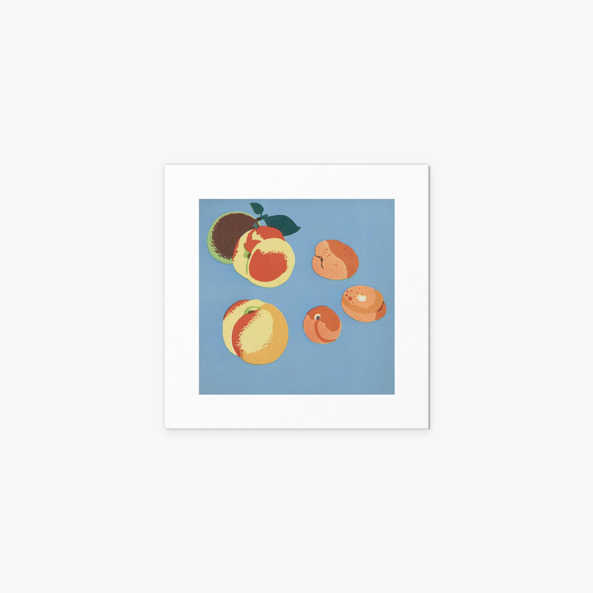 Frutti, Tav. 9 - Elena Pavlovna Gertik, opera di Elena Pavlovna Gertik (Illustrazione), stampa artistica su carta, 40x40cm