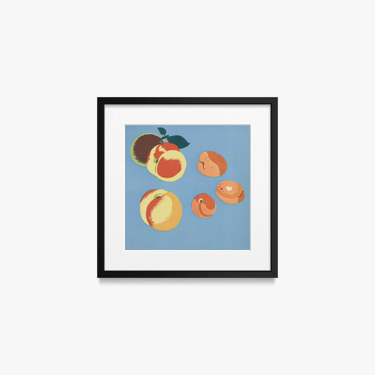 Frutti, Tav. 9 - Elena Pavlovna Gertik, opera di Elena Pavlovna Gertik (Illustrazione), stampa con passepartout e cornice nera, 40x40cm