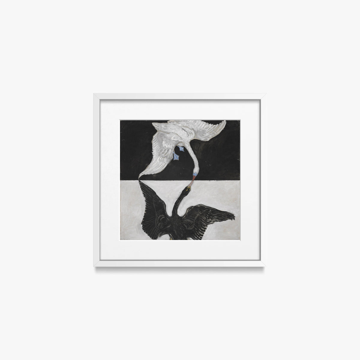 Il Cigno, n. 1 - Hilma af Klint, opera di Hilma af Klint (Astrattismo), stampa con passepartout e cornice bianca, 40x40cm