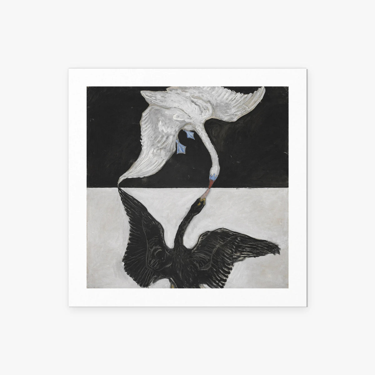 Il Cigno, n. 1 - Hilma af Klint, opera di Hilma af Klint (Astrattismo), stampa artistica su carta, 50x50cm