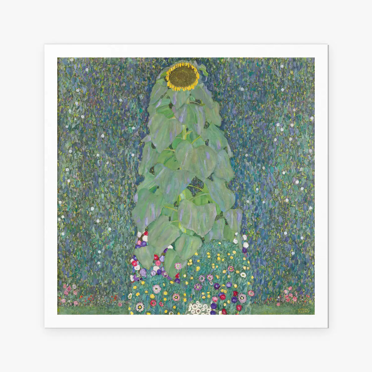 Il Girasole - Gustav Klimt, opera di Gustav Klimt (Secessione Viennese), stampa artistica su carta, 80x80cm