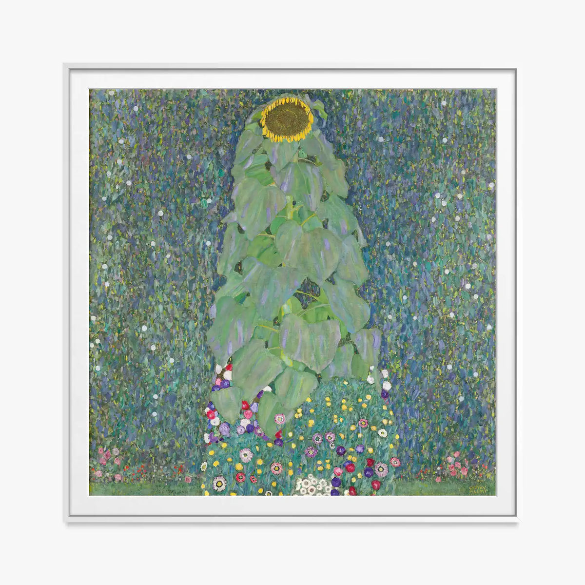 Il Girasole - Gustav Klimt, opera di Gustav Klimt (Secessione Viennese), stampa con passepartout e cornice bianca, 80x80cm