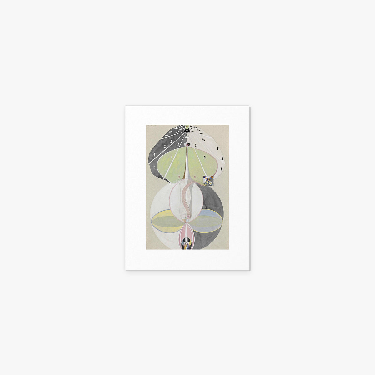 L'Albero della Conoscenza, n. 5 - Hilma af Klint, opera di Hilma af Klint (Astrattismo), stampa artistica su carta, 30x40cm