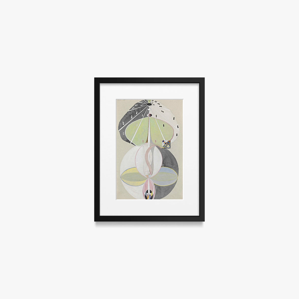 L'Albero della Conoscenza, n. 5 - Hilma af Klint, opera di Hilma af Klint (Astrattismo), stampa con passepartout e cornice nera, 30x40cm