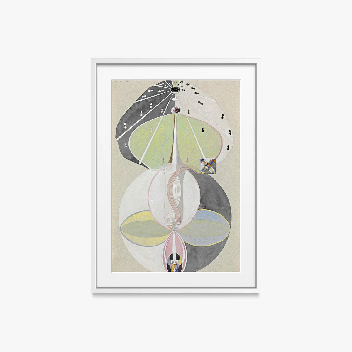 L'Albero della Conoscenza, n. 5 - Hilma af Klint, opera di Hilma af Klint (Astrattismo), stampa con passepartout e cornice bianca, 50x70cm