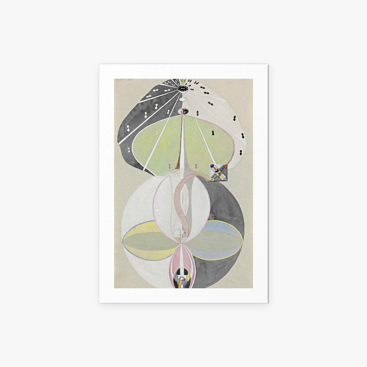 L'Albero della Conoscenza, n. 5 - Hilma af Klint, opera di Hilma af Klint (Astrattismo), stampa artistica su carta, 60x85cm