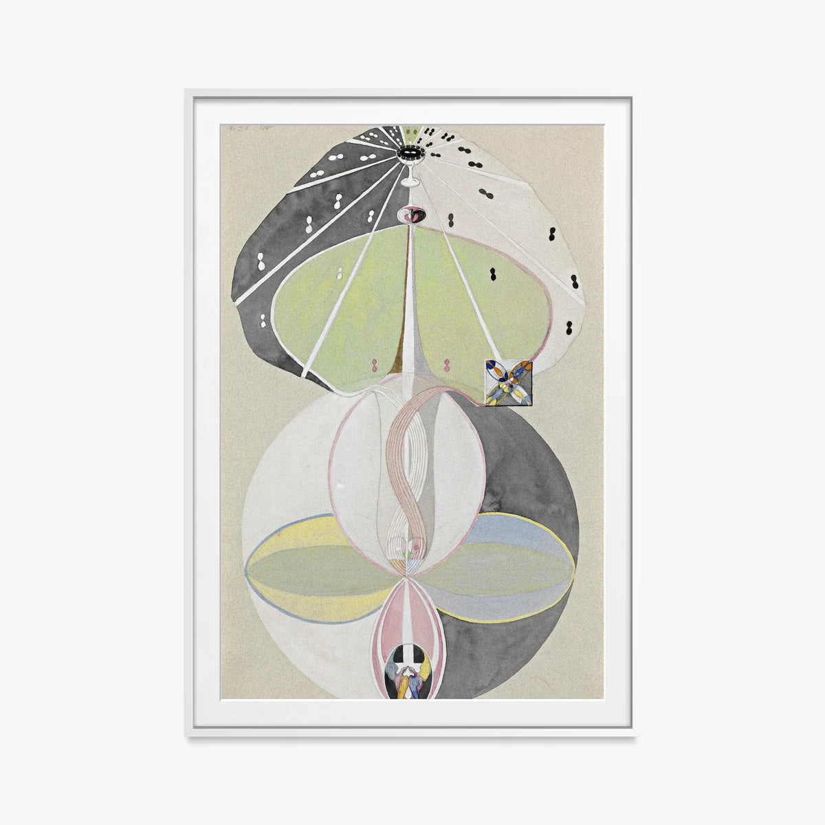 L'Albero della Conoscenza, n. 5 - Hilma af Klint, opera di Hilma af Klint (Astrattismo), stampa con passepartout e cornice bianca, 80x115cm