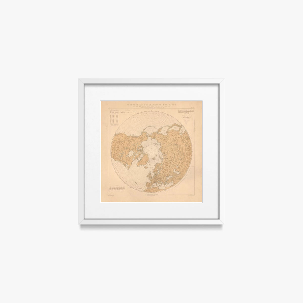 Prospetto Geografico, Polo Artico-30°N - Axel Staggemeier, opera di Axel Staggemeier (Illustrazione), stampa con passepartout e cornice bianca, 40x40cm
