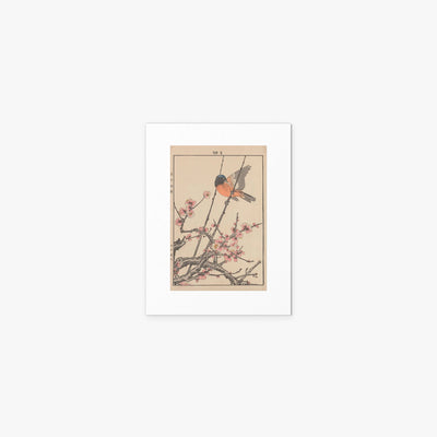 Fiori e Uccelli, Tav. 47 - Imao Keinen, opera di Imao Keinen (Ukiyo-e), stampa artistica su carta, 30x40cm