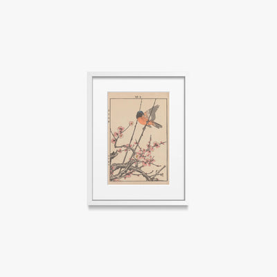 Album di Fiori e Uccelli di Keinen, Tav. 47 - Imao Keinen, opera di Imao Keinen (Ukiyo-e), stampa con passepartout e cornice bianca, 30x40cm