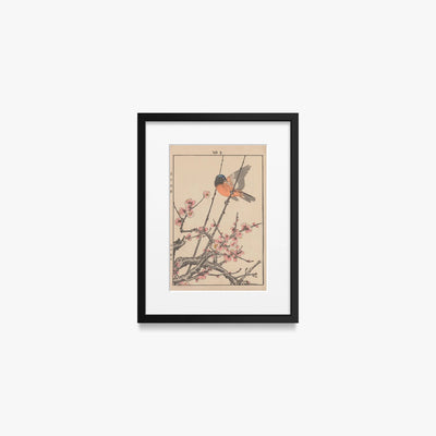 Album di Fiori e Uccelli di Keinen, Tav. 47 - Imao Keinen, opera di Imao Keinen (Ukiyo-e), stampa con passepartout e cornice nera, 30x40cm