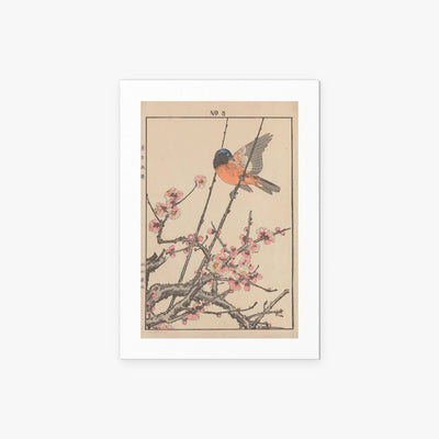 Fiori e Uccelli, Tav. 47 - Imao Keinen, opera di Imao Keinen (Ukiyo-e), stampa artistica su carta, 50x70cm