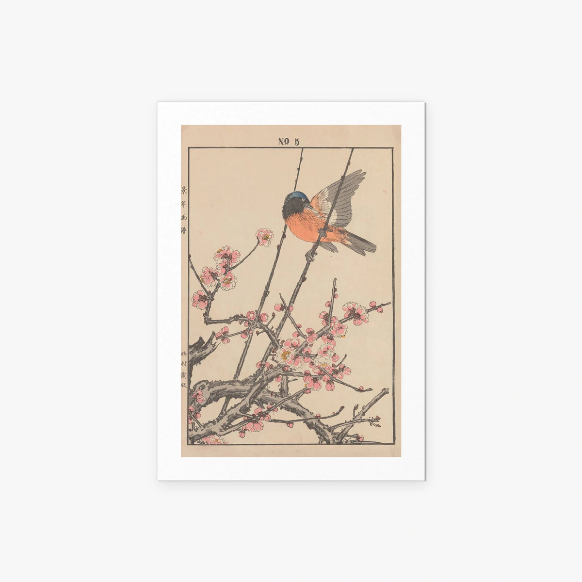 Fiori e Uccelli, Tav. 47 - Imao Keinen, opera di Imao Keinen (Ukiyo-e), stampa artistica su carta, 60x85cm
