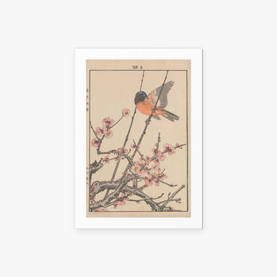 Fiori e Uccelli, Tav. 47 - Imao Keinen, opera di Imao Keinen (Ukiyo-e), stampa artistica su carta, 60x85cm