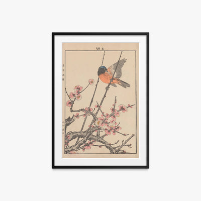 Album di Fiori e Uccelli di Keinen, Tav. 47 - Imao Keinen, opera di Imao Keinen (Ukiyo-e), stampa con passepartout e cornice nera, 60x85cm