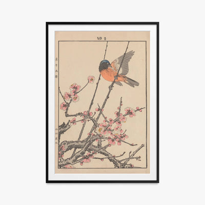Album di Fiori e Uccelli di Keinen, Tav. 47 - Imao Keinen, opera di Imao Keinen (Ukiyo-e), stampa con passepartout e cornice nera, 80x115cm