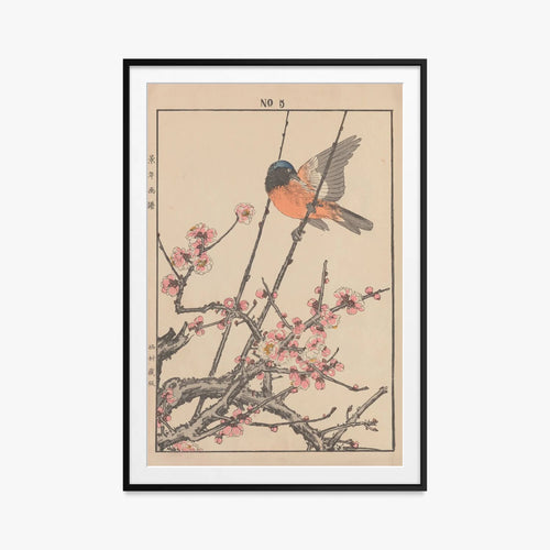 Fiori e Uccelli, Tav. 47 - Imao Keinen