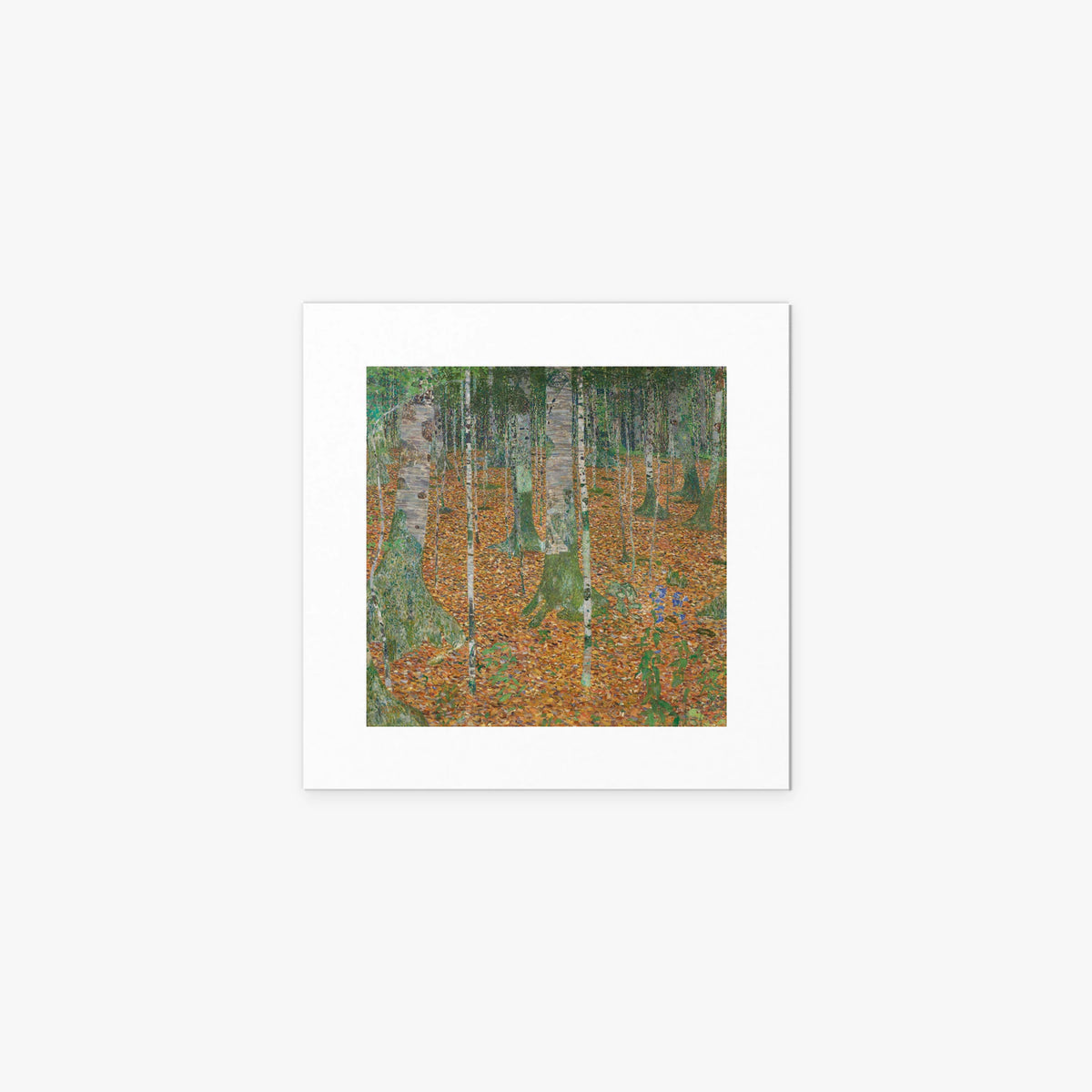 Bosco di Betulle - Gustav Klimt, opera di Gustav Klimt (Secessione Viennese), stampa artistica su carta, 40x40cm