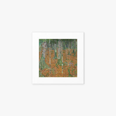 Bosco di Betulle - Gustav Klimt, opera di Gustav Klimt (Secessione Viennese), stampa artistica su carta, 40x40cm