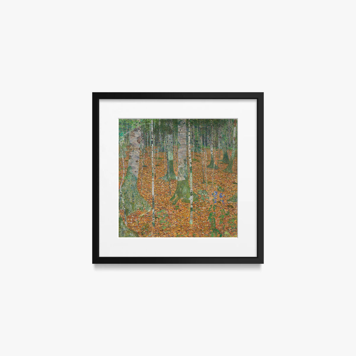 Bosco di Betulle - Gustav Klimt, opera di Gustav Klimt (Secessione Viennese), stampa con passepartout e cornice nera, 40x40cm