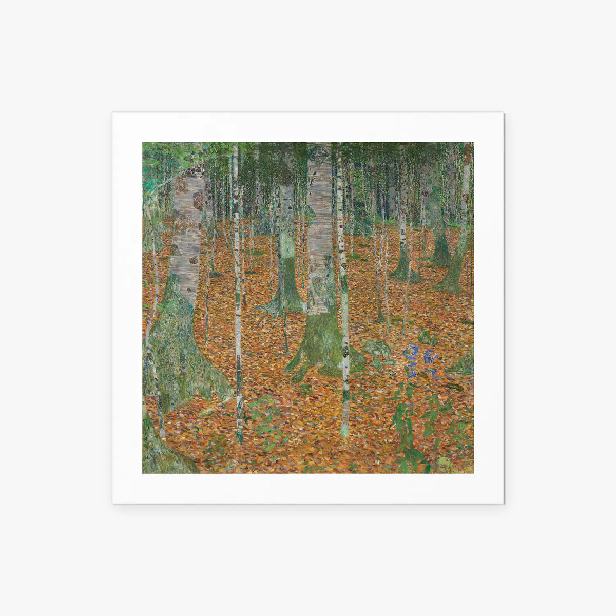 Bosco di Betulle - Gustav Klimt, opera di Gustav Klimt (Secessione Viennese), stampa artistica su carta, 50x50cm