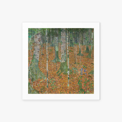 Bosco di Betulle - Gustav Klimt, opera di Gustav Klimt (Secessione Viennese), stampa artistica su carta, 50x50cm