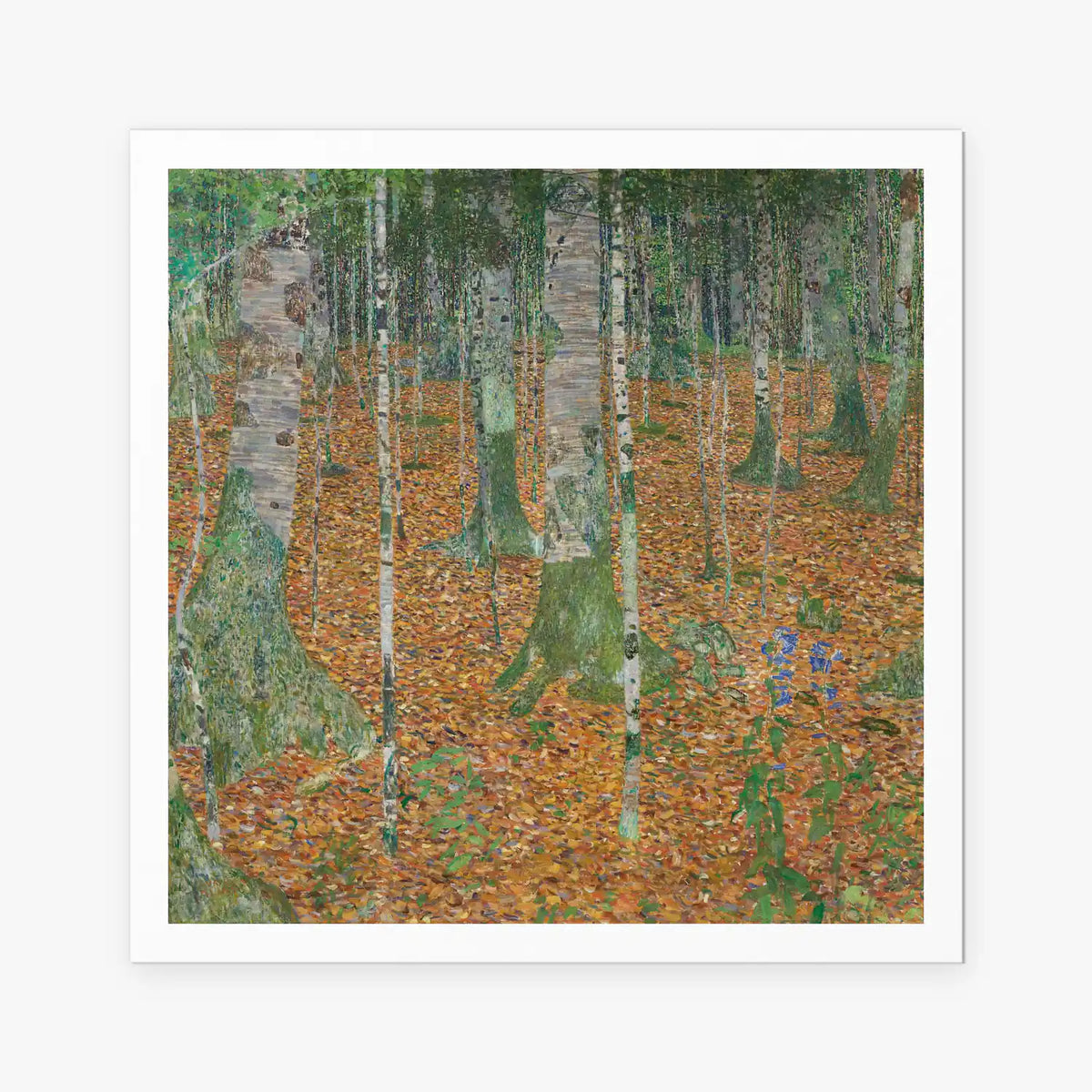 Bosco di Betulle - Gustav Klimt, opera di Gustav Klimt (Secessione Viennese), stampa artistica su carta, 80x80cm