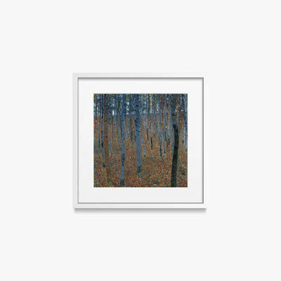 Bosco di Faggi I - Gustav Klimt, opera di Gustav Klimt (Secessione Viennese), stampa con passepartout e cornice bianca, 40x40cm