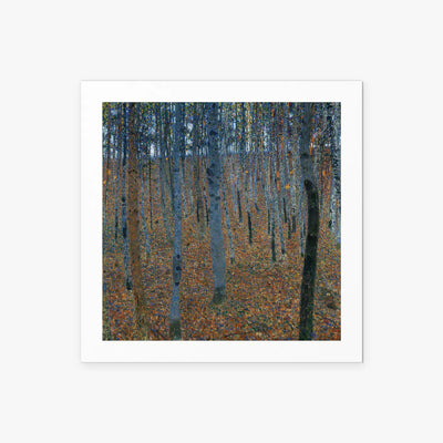 Bosco di Faggi I - Gustav Klimt, opera di Gustav Klimt (Secessione Viennese), stampa artistica su carta, 50x50cm