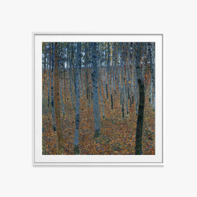 Bosco di Faggi I - Gustav Klimt, opera di Gustav Klimt (Secessione Viennese), stampa con passepartout e cornice bianca, 60x60cm