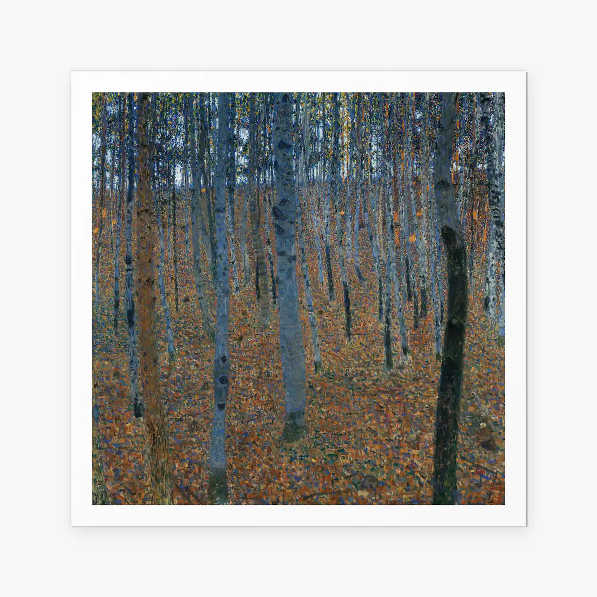 Bosco di Faggi I - Gustav Klimt, opera di Gustav Klimt (Secessione Viennese), stampa artistica su carta, 80x80cm