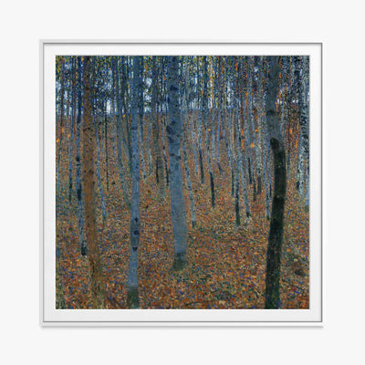 Bosco di Faggi I - Gustav Klimt, opera di Gustav Klimt (Secessione Viennese), stampa con passepartout e cornice bianca, 80x80cm