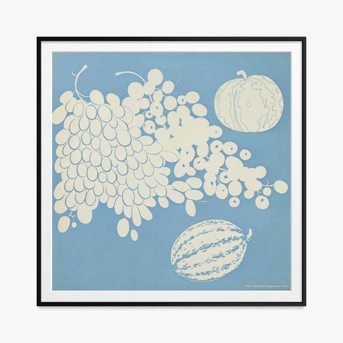 Fruits, Plate 14 - Elena Pavlovna Gertik