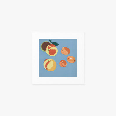Frutti, Tav. 9 - Elena Pavlovna Gertik, opera di Elena Pavlovna Gertik (Illustrazione), stampa artistica su carta, 40x40cm
