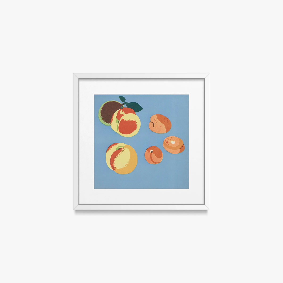 Frutti, Tav. 9 - Elena Pavlovna Gertik, opera di Elena Pavlovna Gertik (Illustrazione), stampa con passepartout e cornice bianca, 40x40cm