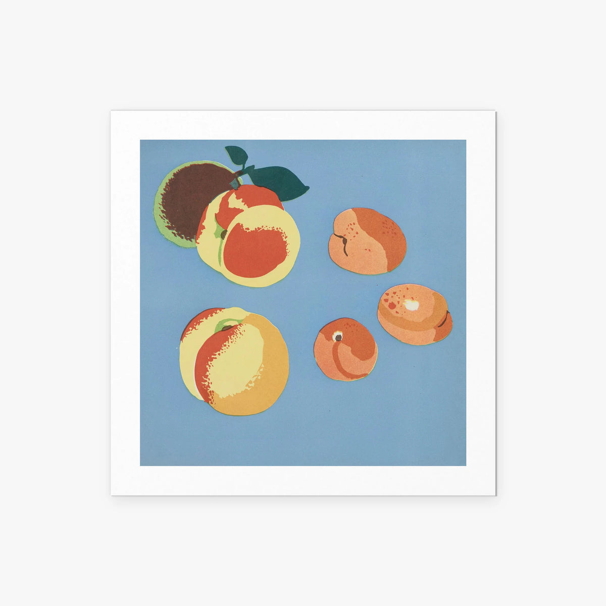 Frutti, Tav. 9 - Elena Pavlovna Gertik, opera di Elena Pavlovna Gertik (Illustrazione), stampa artistica su carta, 50x50cm