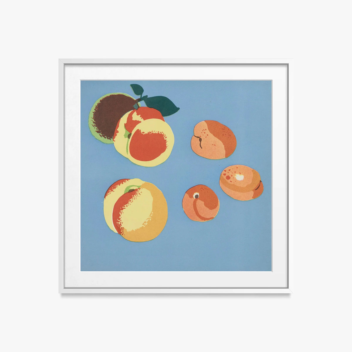 Frutti, Tav. 9 - Elena Pavlovna Gertik, opera di Elena Pavlovna Gertik (Illustrazione), stampa con passepartout e cornice bianca, 50x50cm