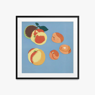 Frutti, Tav. 9 - Elena Pavlovna Gertik, opera di Elena Pavlovna Gertik (Illustrazione), stampa con passepartout e cornice nera, 50x50cm