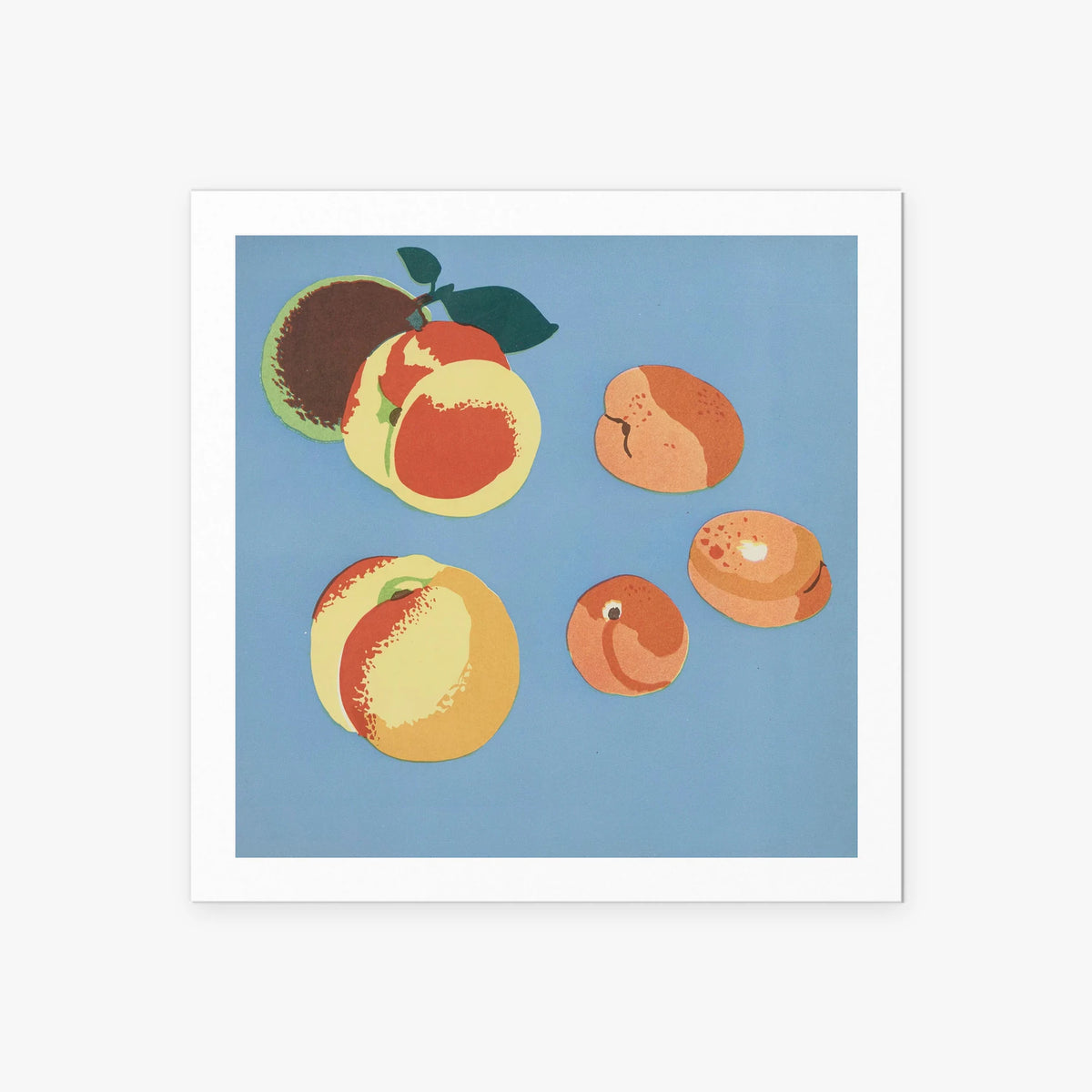 Frutti, Tav. 9 - Elena Pavlovna Gertik, opera di Elena Pavlovna Gertik (Illustrazione), stampa artistica su carta, 60x60cm