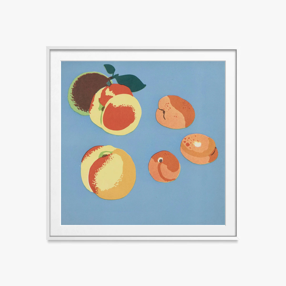 Frutti, Tav. 9 - Elena Pavlovna Gertik, opera di Elena Pavlovna Gertik (Illustrazione), stampa con passepartout e cornice bianca, 60x60cm